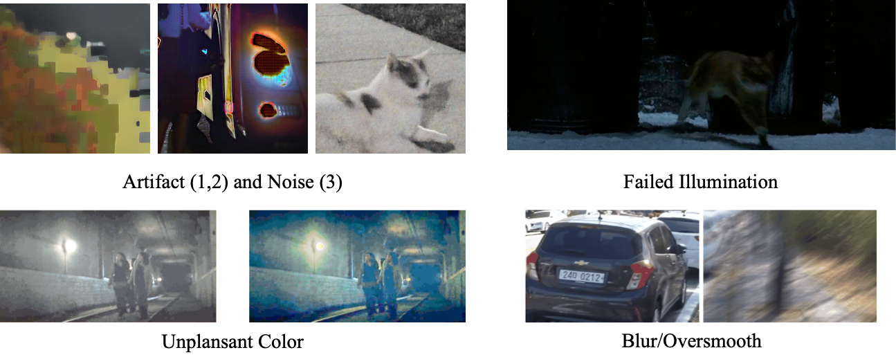 cat.png