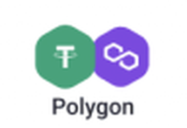 polygon_放大.png