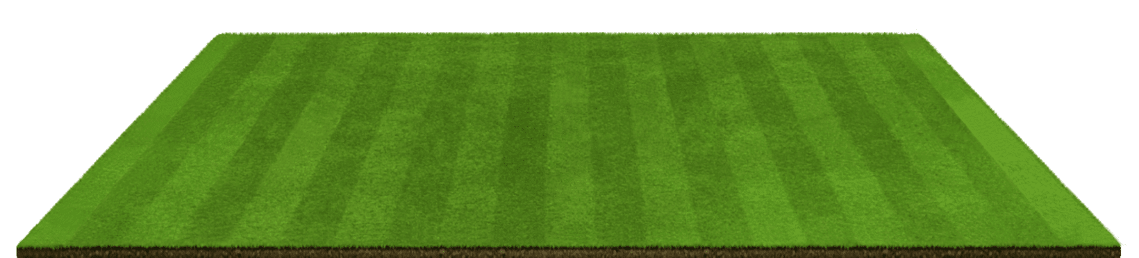 real-court-bg.png