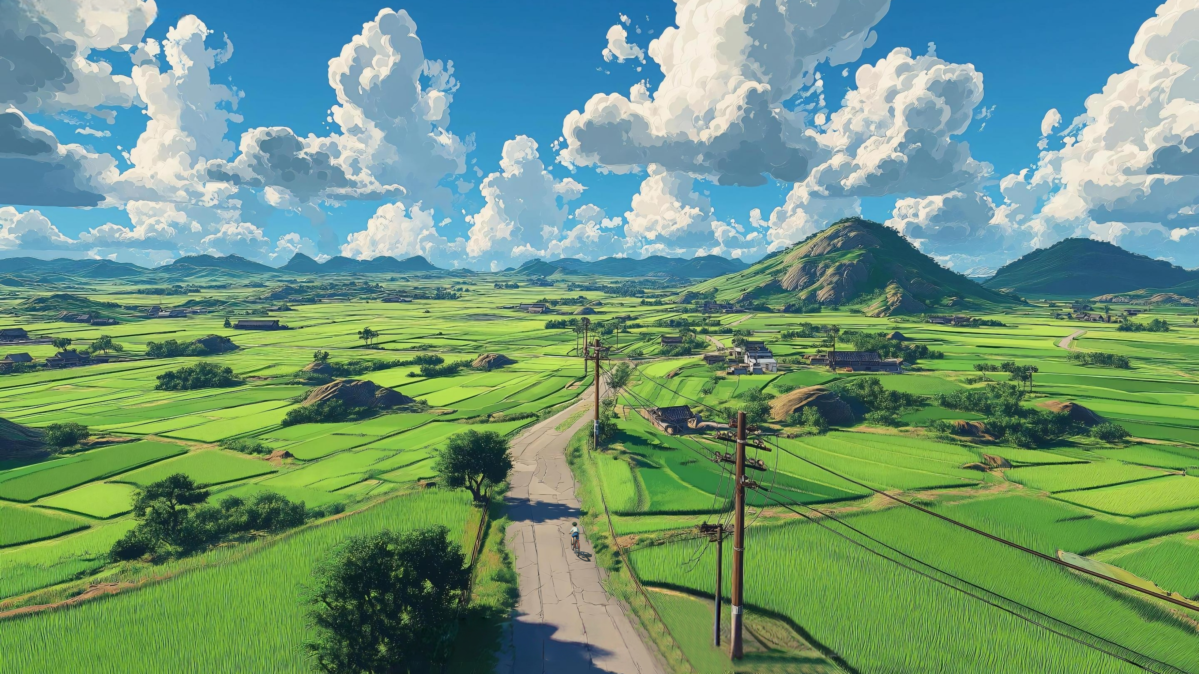【哲风壁纸】乡间道路-晴空旷野 (1).png