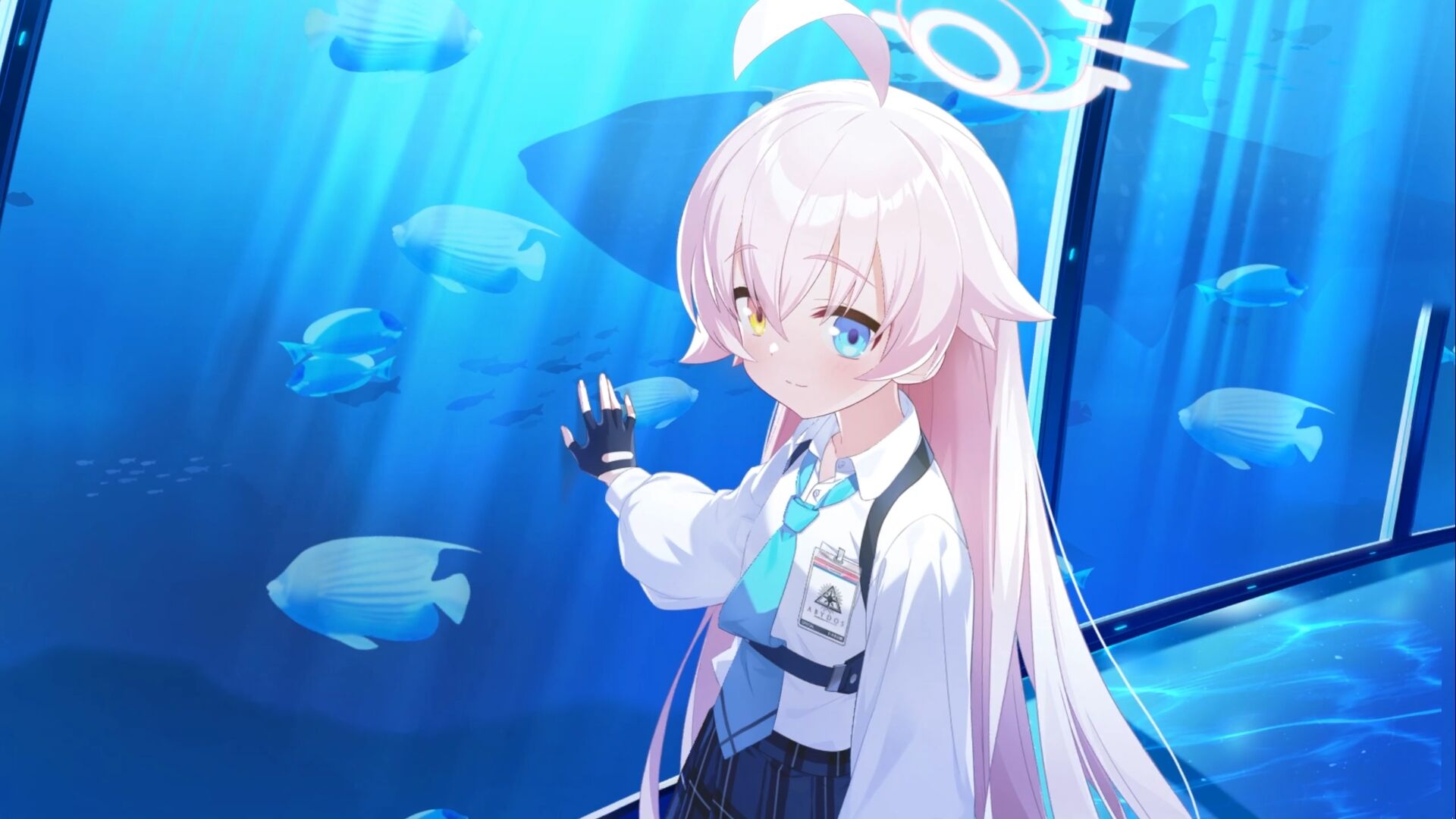 e7f84adcb35c1a42.jpg