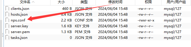 图片[11]-NPS搭建教程-干净博客